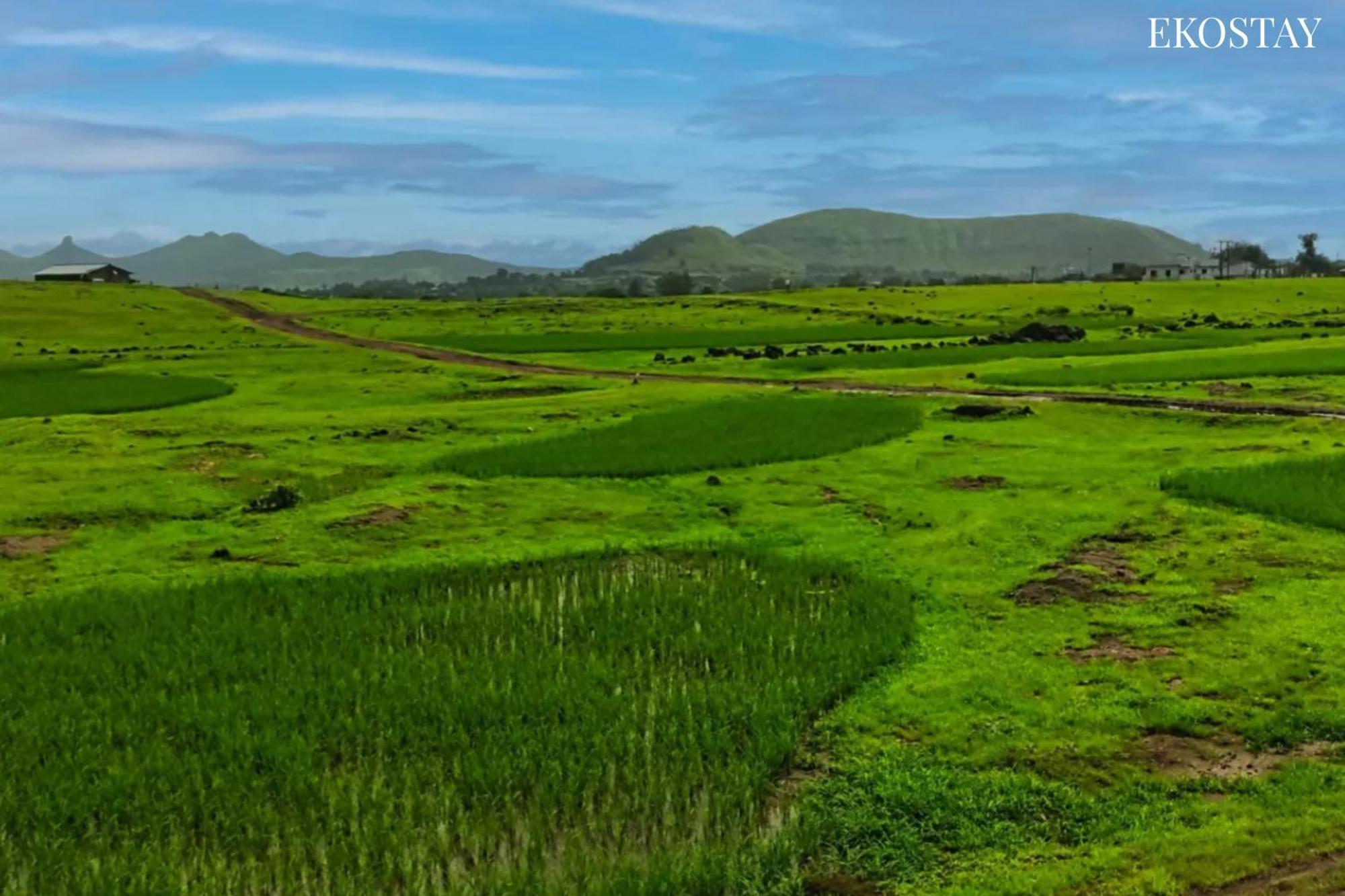 Ekostay - Neptune Villa Igatpuri Kültér fotó