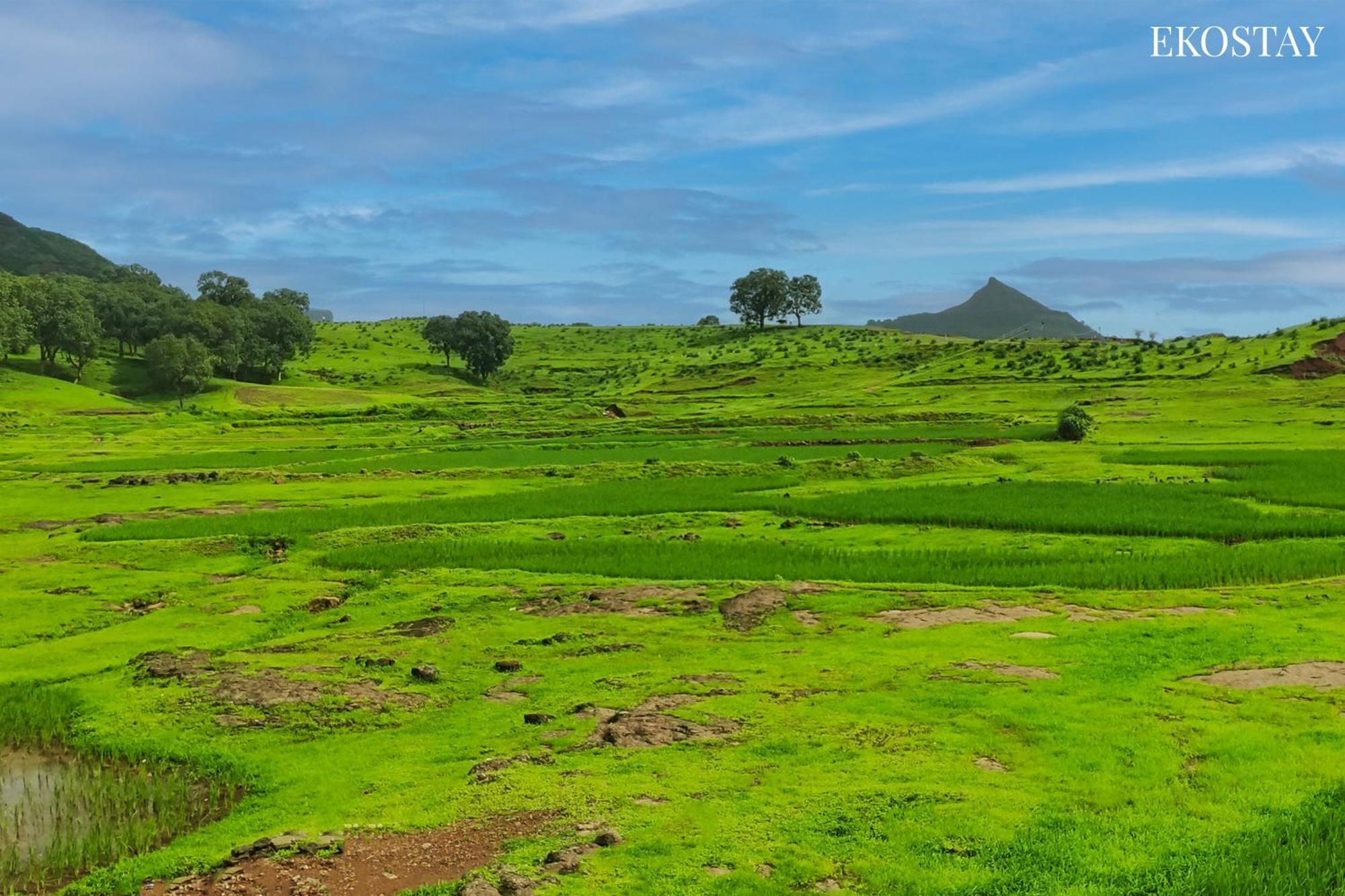 Ekostay - Neptune Villa Igatpuri Kültér fotó